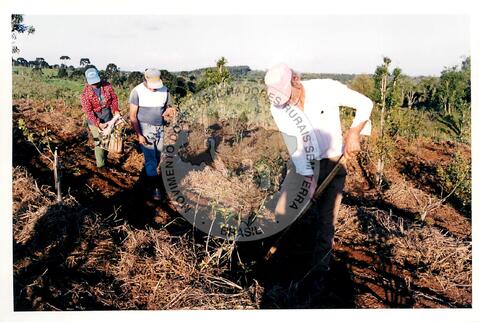 Original Digitaal object not accessible