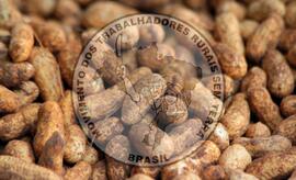 [Título n/d] : lote nº 002, pasta nº 001321, doc. nº 000001 [imagem] / Fotógrafo(a) : [autoria n/d].