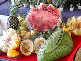 [Título n/d] : lote nº 002, pasta nº 001319, doc. nº 000119 [imagem] / Fotógrafo(a) : [autoria n/d].