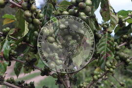 [Título n/d] : lote nº 002, pasta nº 001313, doc. nº 000027 [imagem] / Fotógrafo(a) : [autoria n/d].