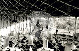 Assentamento do MST [sem identicação] (Dionísio Cerqueira-SC, set. 1995) [fotografia] / Fotógrafo(a) : Débora Lerrer. -- Ref.: BR-SPMST_MST-SN-CIN_AMP_000195-001405-ASS.