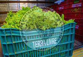 [Título n/d] : lote nº 002, pasta nº 001317, doc. nº 000098 [imagem] / Fotógrafo(a) : [autoria n/d].