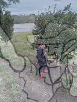 [Título n/d] : lote nº 002, pasta nº 000033, doc. nº 000051 [imagem] / Fotógrafo(a) : [autoria n/d].