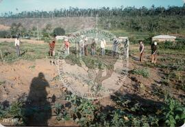 Assentamento do MST [sem identificação] (Nova Venécia-ES, [sem data]) [fotografia] / Fotógrafo(a) : Arquivo MST. -- Ref.: BR-SPMST_MST-SN-CIN_AMP_000330-001595-ASS.