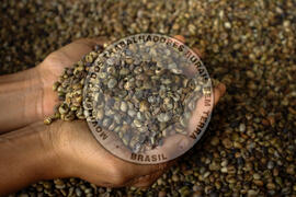 [Título n/d] : lote nº 002, pasta nº 001315, doc. nº 000008 [imagem] / Fotógrafo(a) : [autoria n/d].