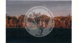 Colômbia (Colômbia, [sem data]) [fotografia] / Fotógrafo(a) : [sem autoria]. -- Ref.: BR-SPMST_MST-SN-CIN_AMP_001104-009151-RIT.