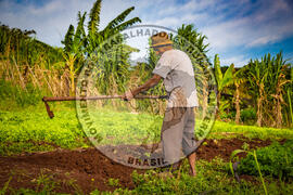[Título n/d] : lote nº 002, pasta nº 001317, doc. nº 000086 [imagem] / Fotógrafo(a) : [autoria n/d].