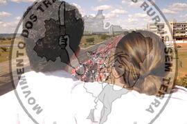 [Título n/d] : lote nº 002, pasta nº 000044, doc. nº 000361 [imagem] / Fotógrafo(a) : [autoria n/d].