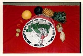 Festival da Reforma Agrária, 1o (Palmeiras das Missões-RS, 04 fev. 1999) [fotografia] / Fotógrafo(a) : Claudio Foschiera ; Douglas Mansur ; Nilton Viana ; Leonardo Melgarejo. -- Ref.: BR-SPMST_MST-SN-CIN_AMP_000807-005283-CUL.