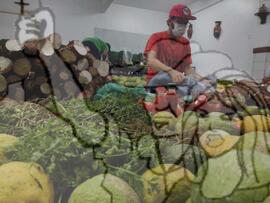 [Título n/d] : lote nº 002, pasta nº 001351, doc. nº 000308 [imagem] / Fotógrafo(a) : [autoria n/d].