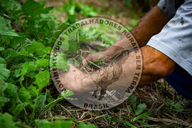 [Título n/d] : lote nº 002, pasta nº 001317, doc. nº 000036 [imagem] / Fotógrafo(a) : [autoria n/d].