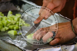 [Título n/d] : lote nº 002, pasta nº 001342, doc. nº 000003 [imagem] / Fotógrafo(a) : [autoria n/d].