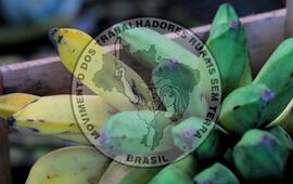 [Título n/d] : lote nº 002, pasta nº 001319, doc. nº 000014 [imagem] / Fotógrafo(a) : [autoria n/d].