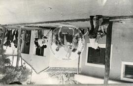 Repressão da polícia em Guariba-SP/Greve dos bóias frias (Guariba-SP, jan. 1985) [fotografia] / Fotógrafo(a) : Arquivo MST ; Tarcísio Geraldo Faria. -- Ref.: BR-SPMST_MST-SN-CIN_AMP_001766-012889-VPP.