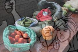 [Título n/d] : lote nº 002, pasta nº 001351, doc. nº 000126 [imagem] / Fotógrafo(a) : [autoria n/d].