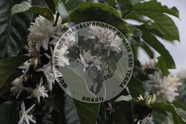 [Título n/d] : lote nº 002, pasta nº 001313, doc. nº 000054 [imagem] / Fotógrafo(a) : [autoria n/d].