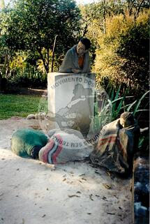 Original Digitaal object not accessible