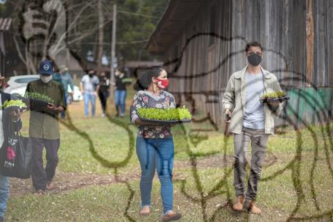 Original Objeto digital not accessible