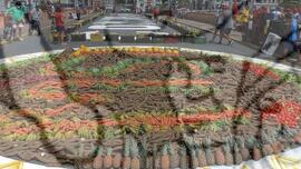 [Título n/d] : lote nº 002, pasta nº 001351, doc. nº 000437 [imagem] / Fotógrafo(a) : [autoria n/d].