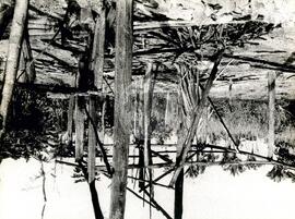 Velório, cortejo e enterro de vítimas do massacre de Eldorado dos Carajás (Brasil, [sem data]) [fotografia] / Fotógrafo(a) : Arquivo MST ; João Ripper. -- Ref.: BR-SPMST_MST-SN-CIN_AMP_001792-012971-VPP.