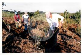 Acampamento "Nova Canudos" do MST (Porto Feliz-SP, fev. 1999) [fotografia] / Fotógrafo(a) : Douglas Mansur. -- Ref.: BR-SPMST_MST-SN-CIN_AMP_000047-000353-ACP.