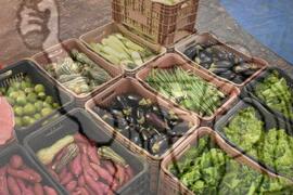 [Título n/d] : lote nº 002, pasta nº 001319, doc. nº 000136 [imagem] / Fotógrafo(a) : [autoria n/d].