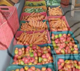 [Título n/d] : lote nº 002, pasta nº 001351, doc. nº 000145 [imagem] / Fotógrafo(a) : [autoria n/d].