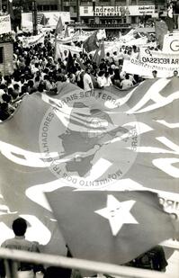 Original Document numérique not accessible