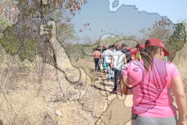 [Título n/d] : lote nº 002, pasta nº 001312, doc. nº 000318 [imagem] / Fotógrafo(a) : [autoria n/d].