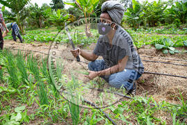 [Título n/d] : lote nº 002, pasta nº 001317, doc. nº 000029 [imagem] / Fotógrafo(a) : [autoria n/d].