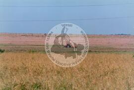 Acampamento "Dandara" do MST (Nova Olímpia-SP, [sem data]) [fotografia] / Fotógrafo(a) : Douglas Mansur. -- Ref.: BR-SPMST_MST-SN-CIN_AMP_000050-000465-ACP.