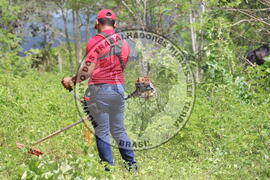 [Título n/d] : lote nº 002, pasta nº 000014, doc. nº 000215 [imagem] / Fotógrafo(a) : [autoria n/d].