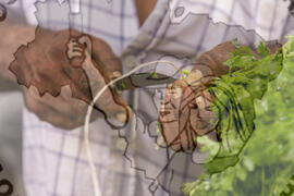 [Título n/d] : lote nº 002, pasta nº 001319, doc. nº 000093 [imagem] / Fotógrafo(a) : [autoria n/d].