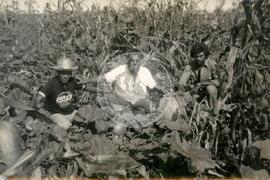 Cooperativas (Ceará, [sem data]) [fotografia] / Fotógrafo(a) : Arquivo MST. -- Ref.: BR-SPMST_MST-SN-CIN_AMP_001979-015176-PDU.