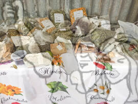 [Título n/d] : lote nº 002, pasta nº 001329, doc. nº 000014 [imagem] / Fotógrafo(a) : [autoria n/d].