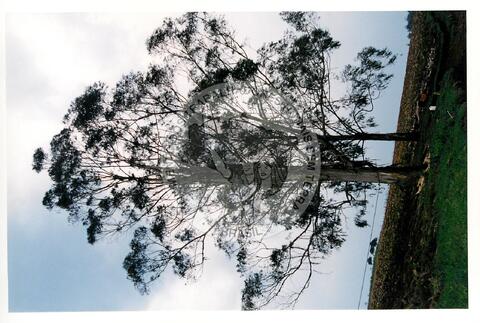 Original Document numérique not accessible