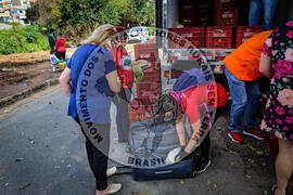 [Título n/d] : lote nº 002, pasta nº 001350, doc. nº 000108 [imagem] / Fotógrafo(a) : [autoria n/d].