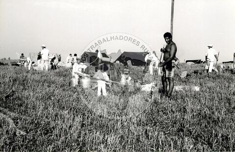 Original Document numérique not accessible