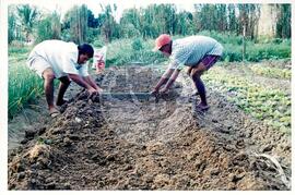 Curso Prolongado região sudeste - CIDAP (São Matheus-ES, ago. 2000) [fotografia] / Fotógrafo(a) : Leticia Barqueta. -- Ref.: BR-SPMST_MST-SN-CIN_AMP_000822-005427-CUR.