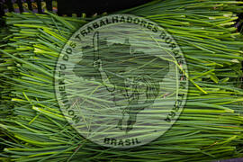 [Título n/d] : lote nº 002, pasta nº 001317, doc. nº 000054 [imagem] / Fotógrafo(a) : [autoria n/d].