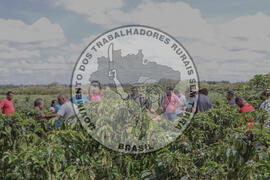 [Título n/d] : lote nº 002, pasta nº 001314, doc. nº 000011 [imagem] / Fotógrafo(a) : [autoria n/d].