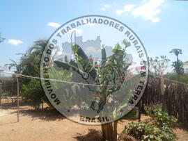 [Título n/d] : lote nº 002, pasta nº 001312, doc. nº 000029 [imagem] / Fotógrafo(a) : [autoria n/d].