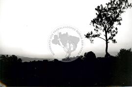 Departamento Santa Bárbara (Honduras, [sem data]) [fotografia] / Fotógrafo(a) : Mara. -- Ref.: BR-SPMST_MST-SN-CIN_AMP_001109-009169-RIT.