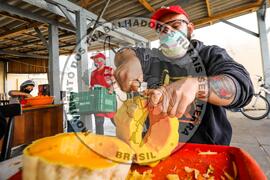 [Título n/d] : lote nº 002, pasta nº 001340, doc. nº 000057 [imagem] / Fotógrafo(a) : [autoria n/d].