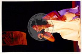 Semana Nacional de Cultura Brasileira e Reforma Agrária (Rio de Janeiro-RJ, 18 mar. 2002) [fotografia] / Fotógrafo(a) : João Laet. -- Ref.: BR-SPMST_MST-SN-CIN_AMP_001818-013475-NDT.