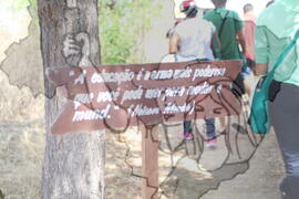 [Título n/d] : lote nº 002, pasta nº 001312, doc. nº 000316 [imagem] / Fotógrafo(a) : [autoria n/d].