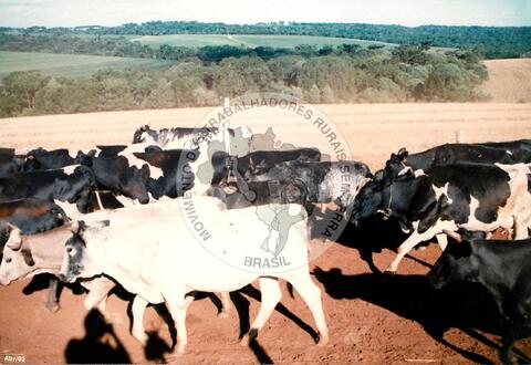 Original Document numérique not accessible