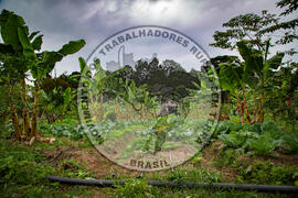 [Título n/d] : lote nº 002, pasta nº 001317, doc. nº 000056 [imagem] / Fotógrafo(a) : [autoria n/d].