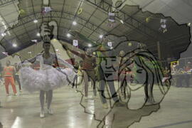 [Título n/d] : lote nº 002, pasta nº 001311, doc. nº 001225 [imagem] / Fotógrafo(a) : [autoria n/d].