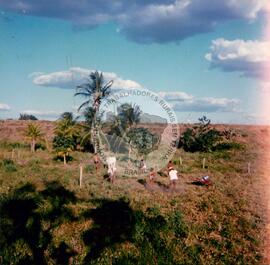 Assentamentos do MST [sem identificação] (Ceará, [sem data]) [fotografia] / Fotógrafo(a) : Joelmir Pinho ; Elemar. -- Ref.: BR-SPMST_MST-SN-CIN_AMP_000323-001566-ASS.